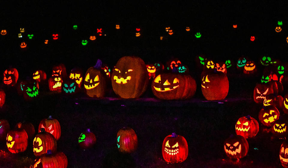 Take A Trip To This Festive Pumpkin Wonderland In NY Before It Closes