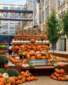 Pumpkin display in Industry City