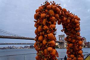 The Seaport Pumpkin Arch