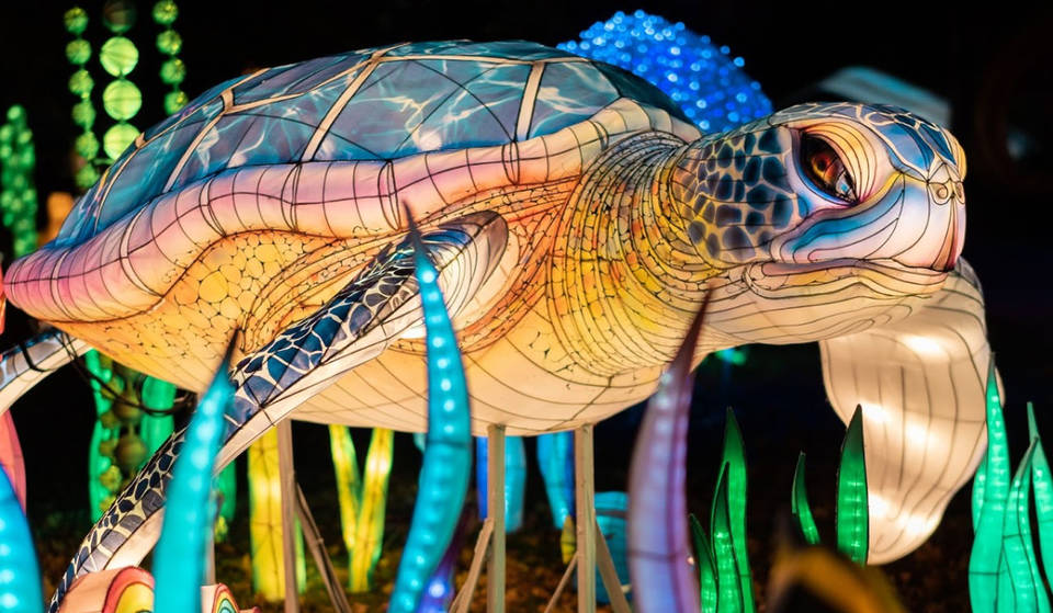 This Family-Friendly Lantern Festival In NJ Just Opened Its Doors To The Public