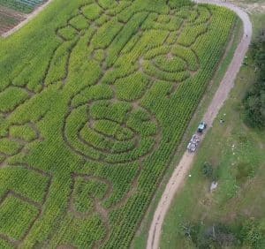 Aerial view of corn maze at Outhouse Orchards