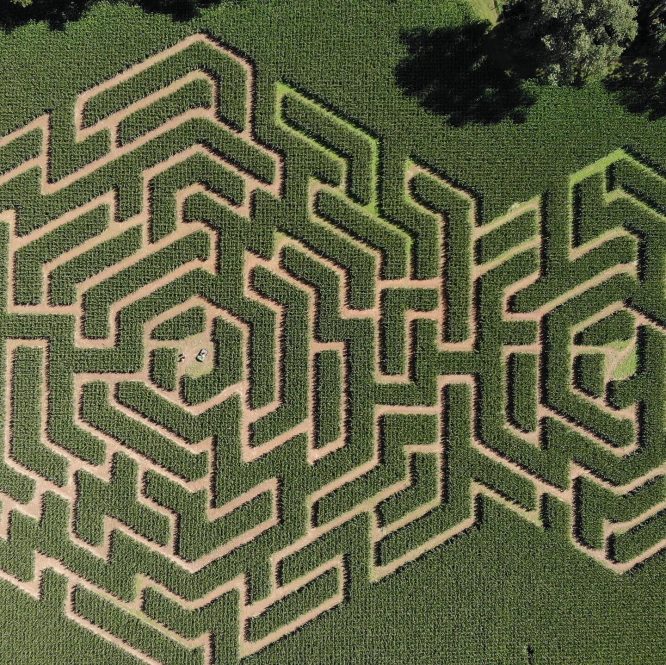 Aerial view of corn maze at Alstede Farms