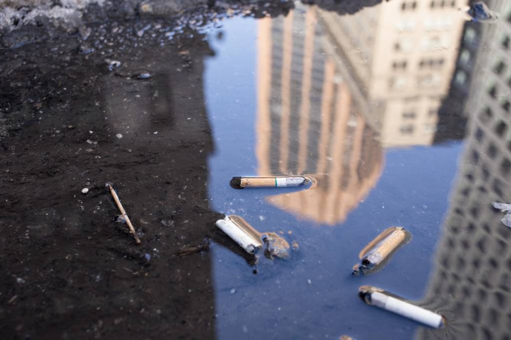 Cigarettes in a puddle on the sidewalk