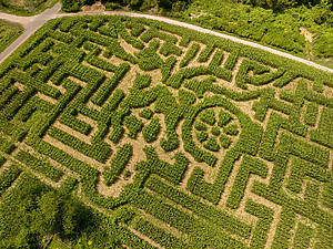 Aerial view of corn maze at The Queens County Farm Museum
