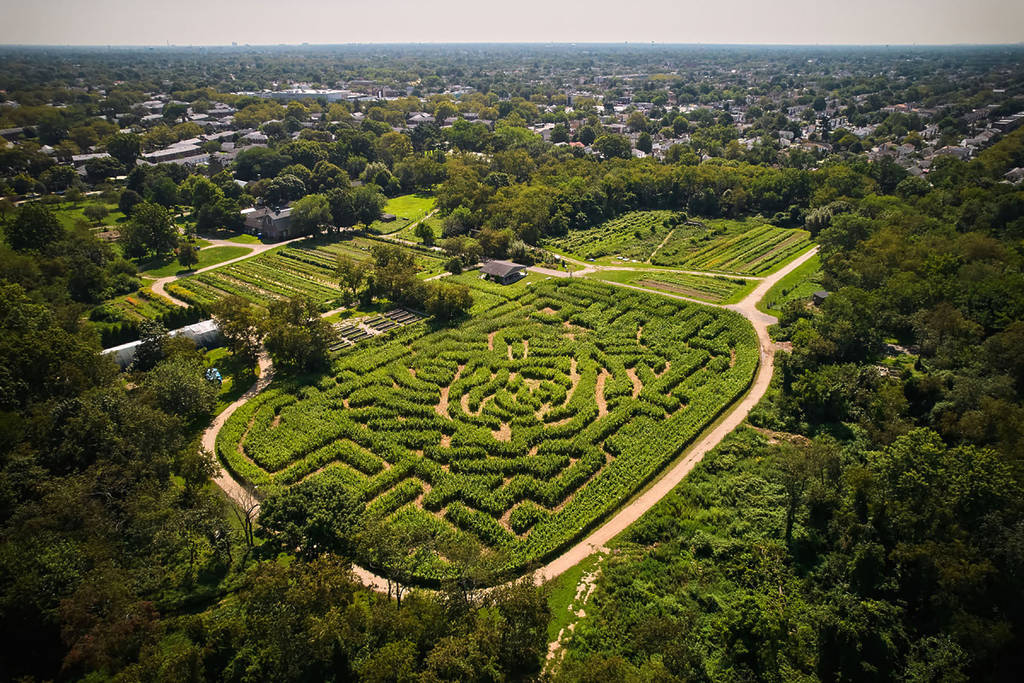 Aerial view of corn maze at The Queens County Farm Museum