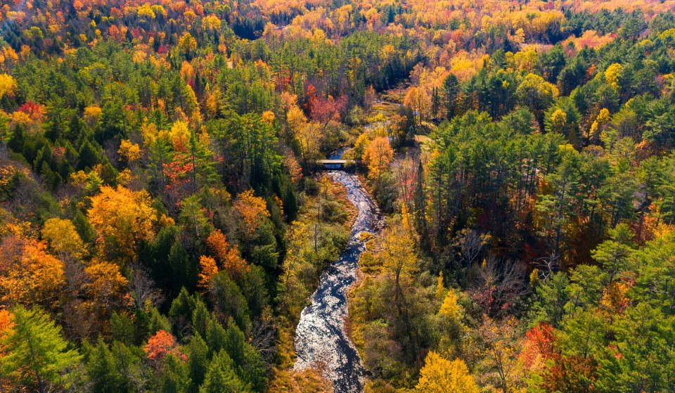 The Northeast’s Fall Foliage May Not Be As Vibrant This Year Due To A Rainy Summer