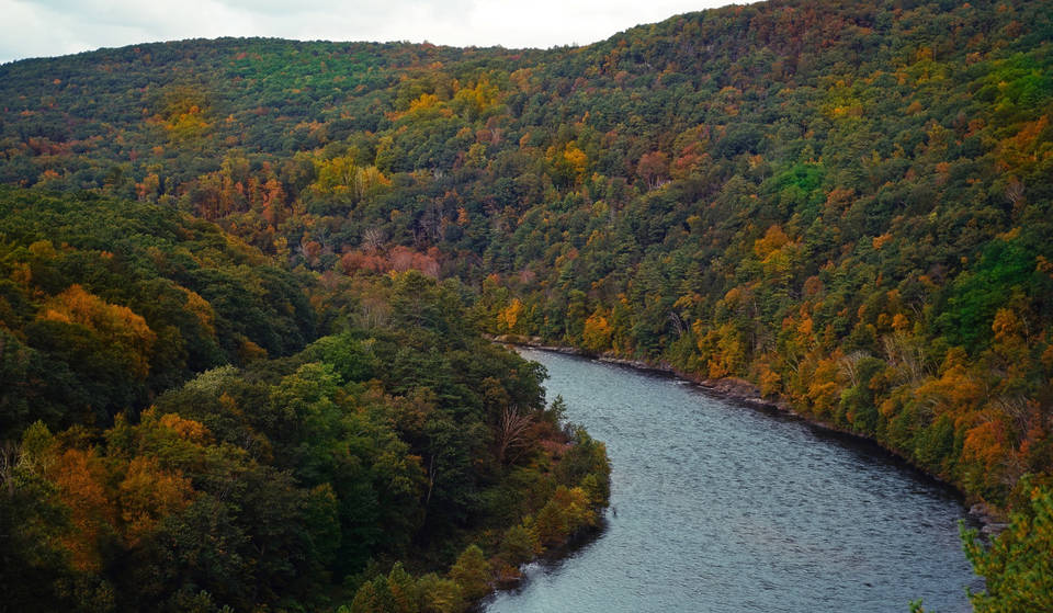 This 2-Hour Day Trip Takes You To One Of The Top Roads For Fall Foliage Viewing