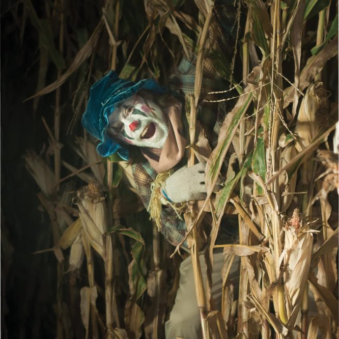 A clown peeking out of a corn maze at Harbes Orchard