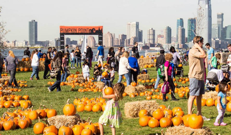 Governors Island Waterfront Pumpkin Patch Is Returning This Halloween