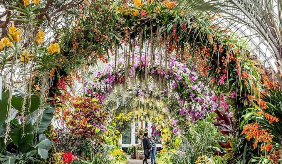 The Annual Orchid Show Will Fashionably Return To New York Botanical Garden In February