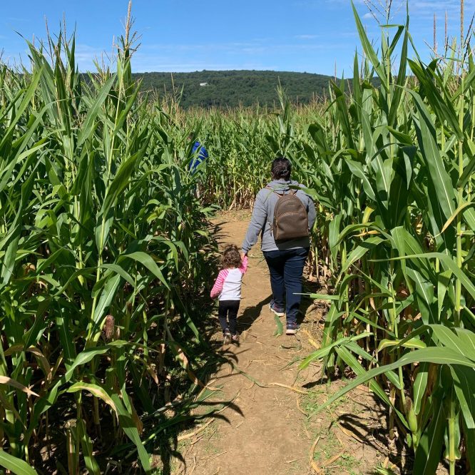 Woman and child walking through a corn field at Ort Farms