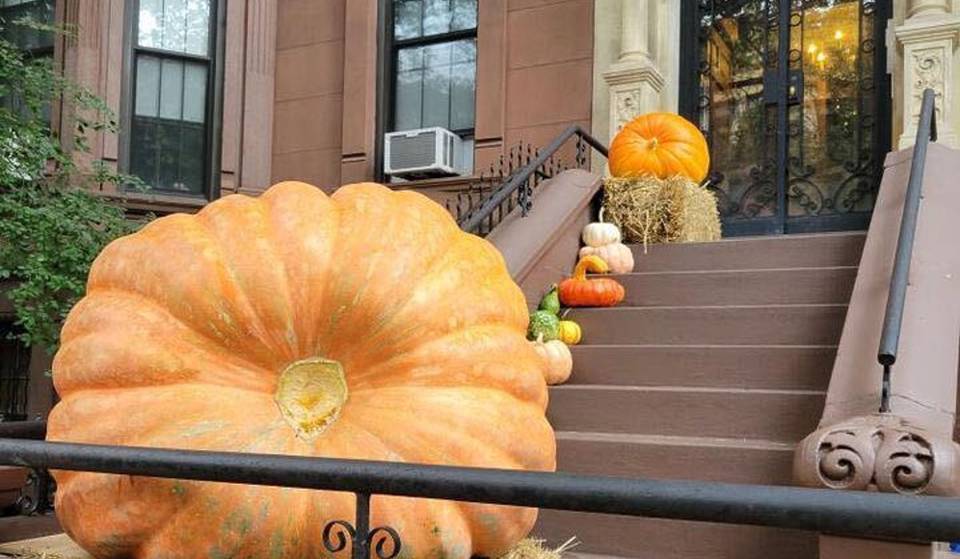 There’s A Nearly 1,000-Pound Pumpkin On Display At This Park Slope Stoop