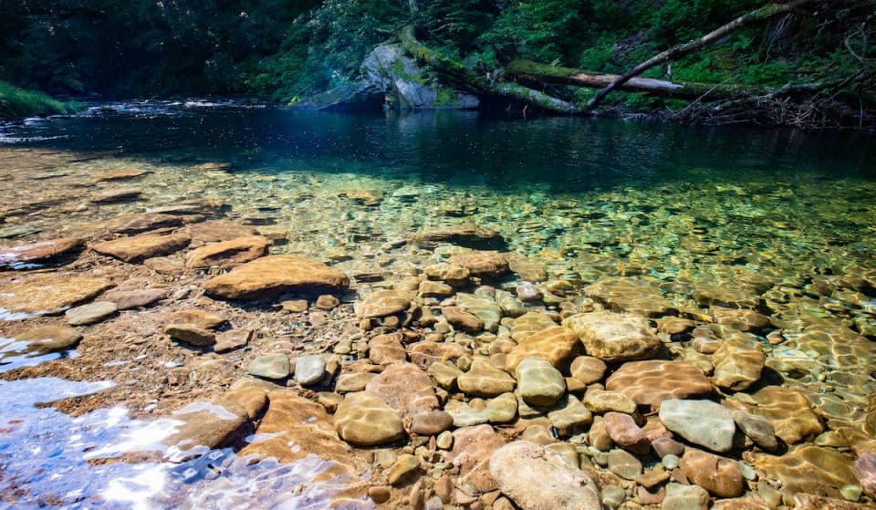 6 Swimming Holes Near NYC That Are Worth The Trip