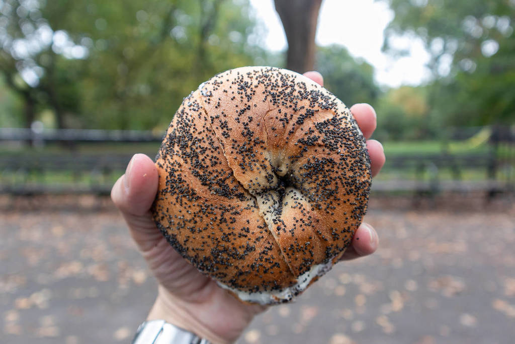 Handheld Poppy Seed Bagel with Cream Cheese at Tompkins Square Park in the East Village of New York City during Autumn