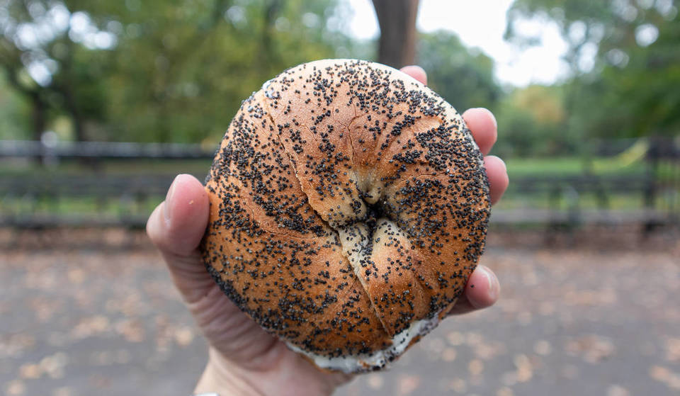 20 Best Bagels In NYC To Try Right Now