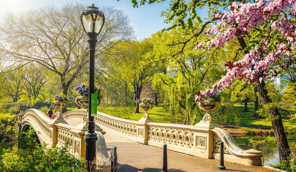 26 Best Things To Do In NYC This Spring, From A-Z