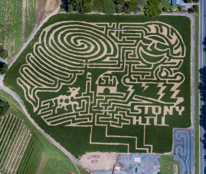 Aerial view of corn maze at Stony Hill Farms