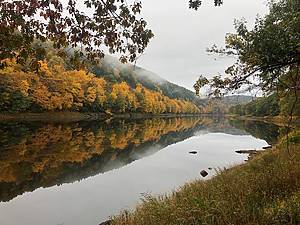 The Upper Delaware River with a reflection of yellow colored fall leaves on the water.