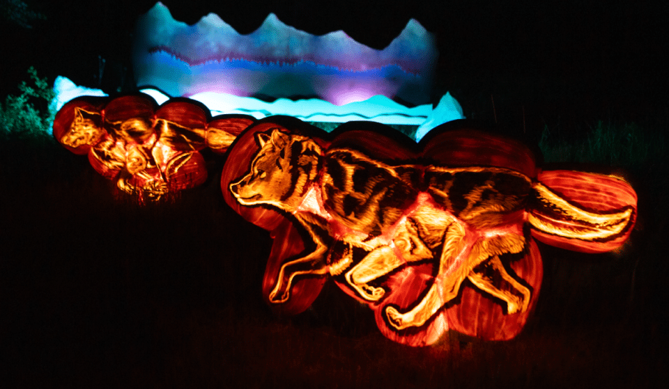 5,000+ Animal-Themed Jack-O’-Lanterns Will Take Over The Bronx Zoo This Fall