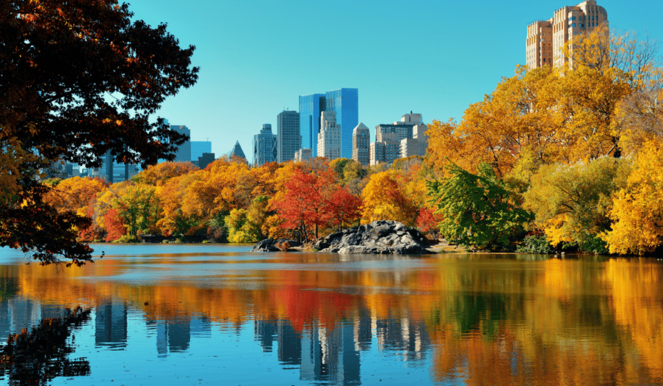 This Is When Fall Foliage Is Expected To Peak In NYC