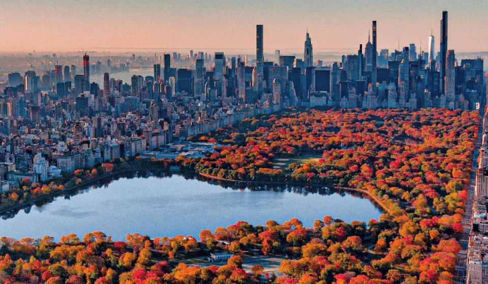 30 Best Things To Do This Fall In NYC: The Ultimate Bucket List