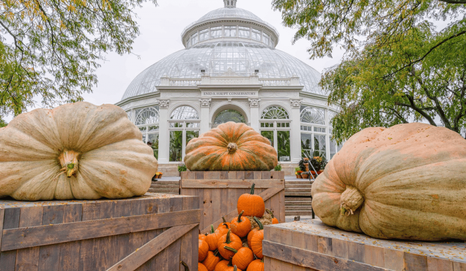 Celebrate All Things Fall At NYBG’s ‘Fall-O-Ween’ Starting In September