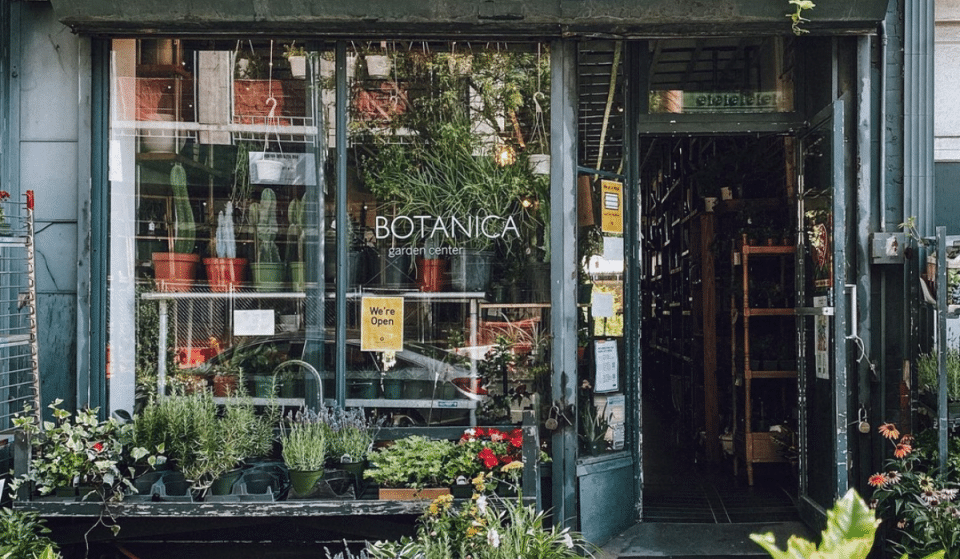 15 Best Plant Shops In Brooklyn